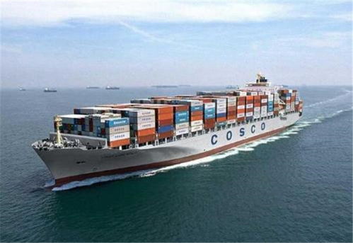 茂名至非洲海运专线 价格解析与专业推荐——登凯国际货运代理