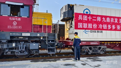 新疆开行首趟中老铁路国际冷链货运班列 国际货运代理迎来新机遇