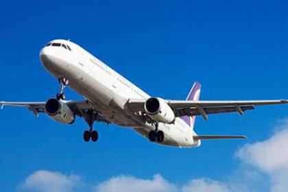 增城新塘国际物流新星 达哒国际货运代理，DHL金牌服务商的卓越之道